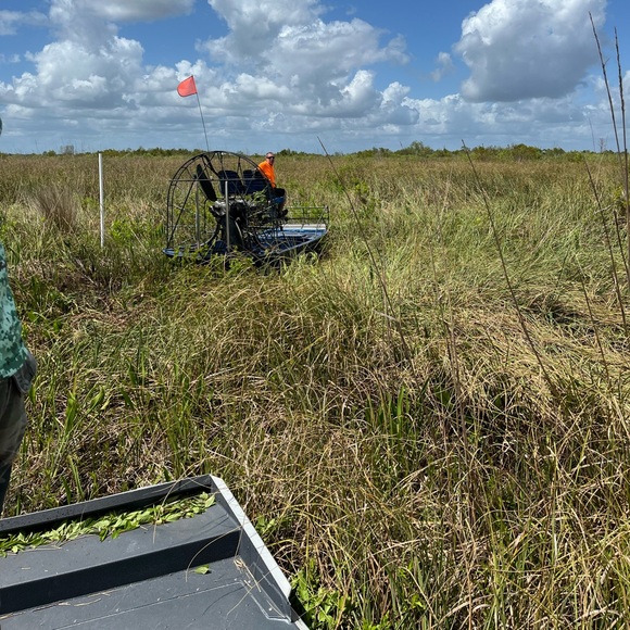 Meet your Posher, Carrie - Picture 13 of 15